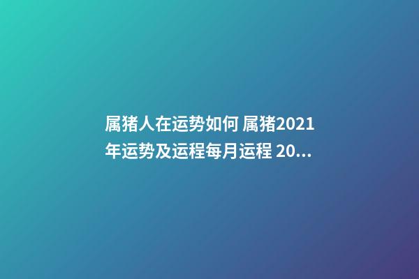 属猪人在运势如何 属猪2021年运势及运程每月运程 2021年属猪人的全年运势-第1张-观点-玄机派